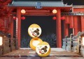 美无定式，AKF荣获美妆行业大奖！